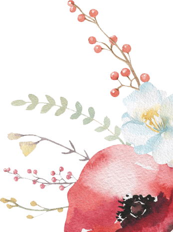 Chiến lược sản phẩm, dịch vụ hiệu quả cho doanh nghiệp.