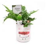 Chậu Trang Trí Sắc Màu Cảm Hứng 011