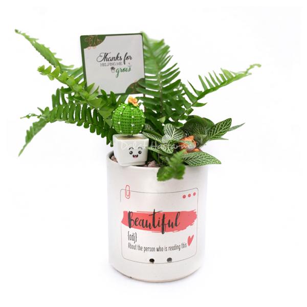 Chậu Trang Trí Sắc Màu Cảm Hứng 011