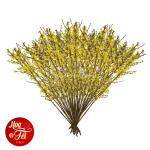 Mai Mỹ 50 cành - 90cm