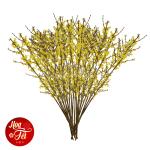 Mai Mỹ 30 cành - 90cm