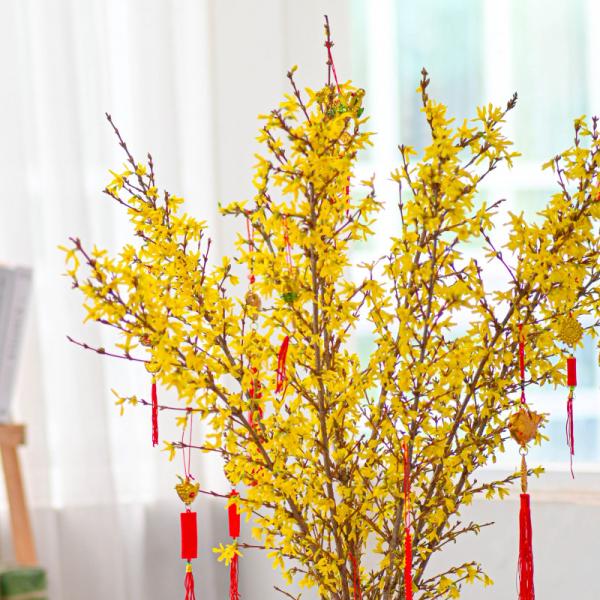 Mai Mỹ - Đầu Xuân Như Ý