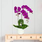 Lan Hồ Điệp Viên Mãn 049