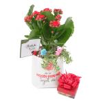 Chậu Trang Trí Sắc Màu Cảm Hứng 009