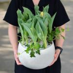 Chậu Hoa Thiết Kế Sắc Xuân 077