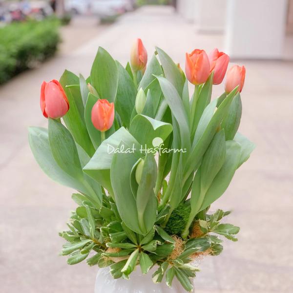Bình Hoa Tulip 024