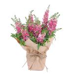 Chậu Giấy Gói Hoa Bâng Khuâng 022