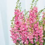 Chậu Giấy Gói Hoa Bâng Khuâng 022