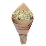 Bó Hoa Tinh Khôi 034