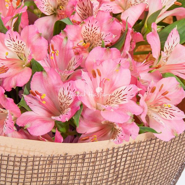 Bó Hoa Sứ Giả May Mắn 591