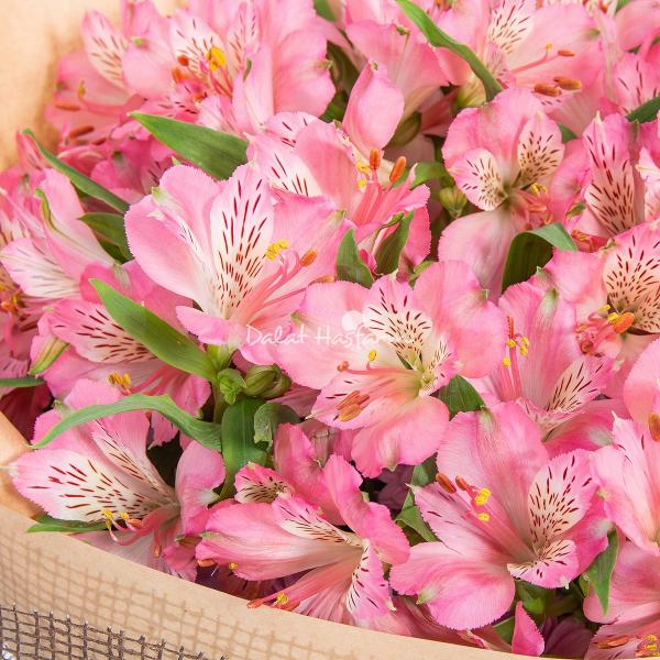 Bó Hoa Sứ Giả May Mắn 591