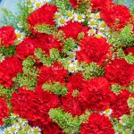 Bó Hoa Món Quà Hạnh Phúc 598