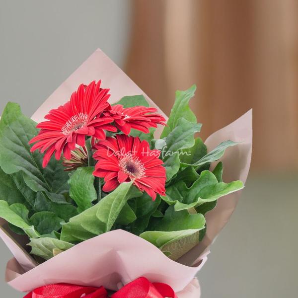 Chậu Giấy Gói Hoa Đồng Tiền 137