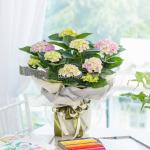 Chậu Hoa Thiết Kế Điều Ngọt Ngào 109