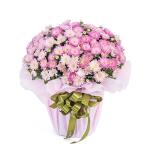 Chậu Giấy Gói Hoa Cúc Hoàn Cầu 104