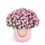 Chậu Sứ Hoa Cúc Hoàn Cầu 105