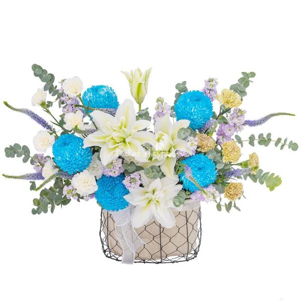 Giỏ Hoa Ngày Mới An Nhiên 517