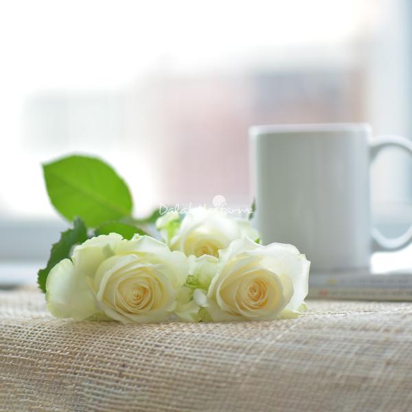 Giỏ Hoa Món Quà Hạnh Phúc 215