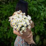 Bó Hoa Cúc Họa Mi Thuần Khiết 600