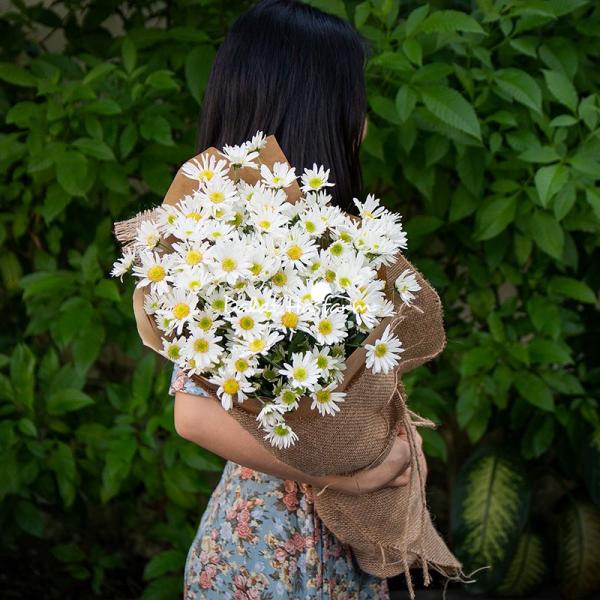 Bó Hoa Cúc Họa Mi Thuần Khiết 600