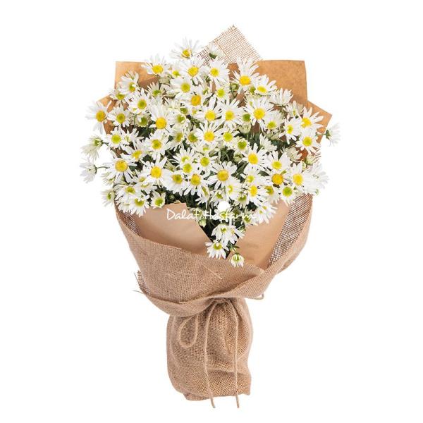 Bó Hoa Cúc Họa Mi Thuần Khiết 600