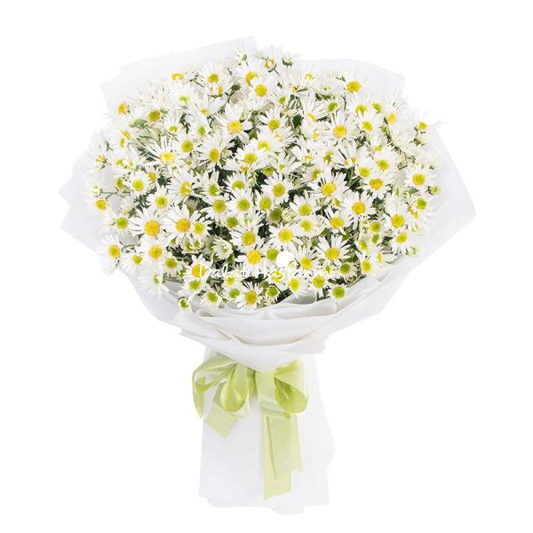 Bó Hoa Cúc Họa Mi Thuần Khiết 601