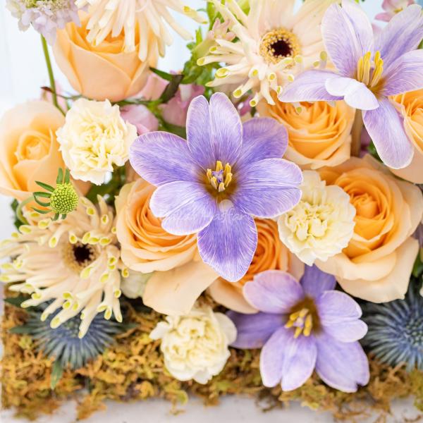 Hộp Hoa Dẫn Lối Yêu Thương 623