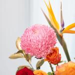 Giỏ Hoa Nắng Ấm Dịu Dàng 638