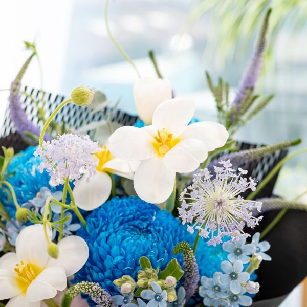 Bó Hoa Yêu Thương Dịu Dàng 647