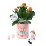 Chậu Trang Trí Sắc Màu Cảm Hứng 010