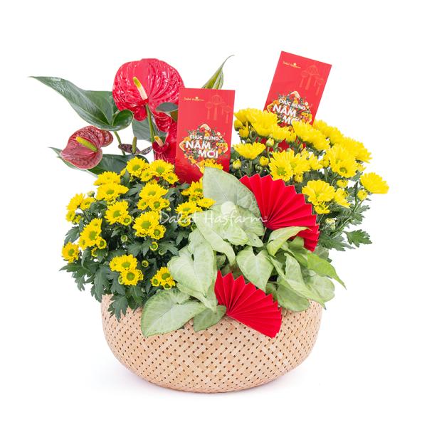 Chậu Hoa Thiết Kế Vạn Lộc 189