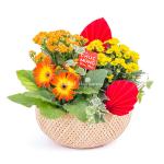 Chậu Hoa Thiết Kế Vạn Lộc 190