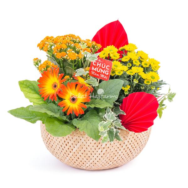 Chậu Hoa Thiết Kế Vạn Lộc 190