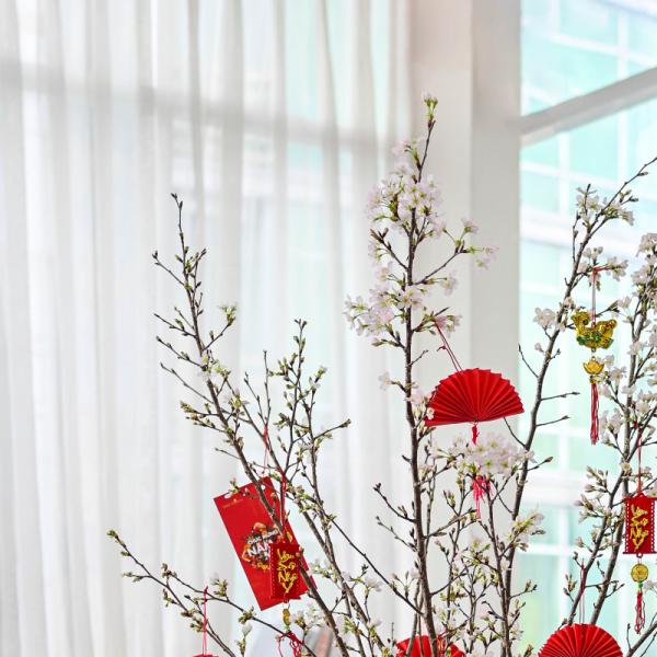 Đào Nhật - Đón Xuân Sum Vầy