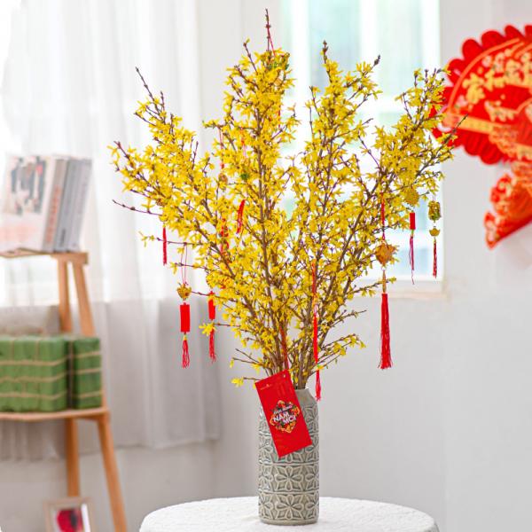 Mai Mỹ - Đầu Xuân Thịnh Vượng