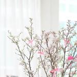 Đào Nhật - Đón Xuân Sum Vầy