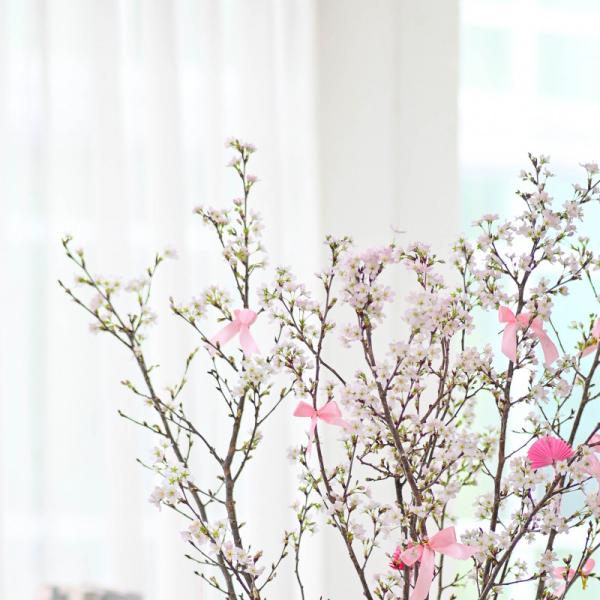 Đào Nhật - Tết Vui Chan Hòa