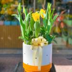 Chậu Hoa Thiết Kế Sắc Xuân 071