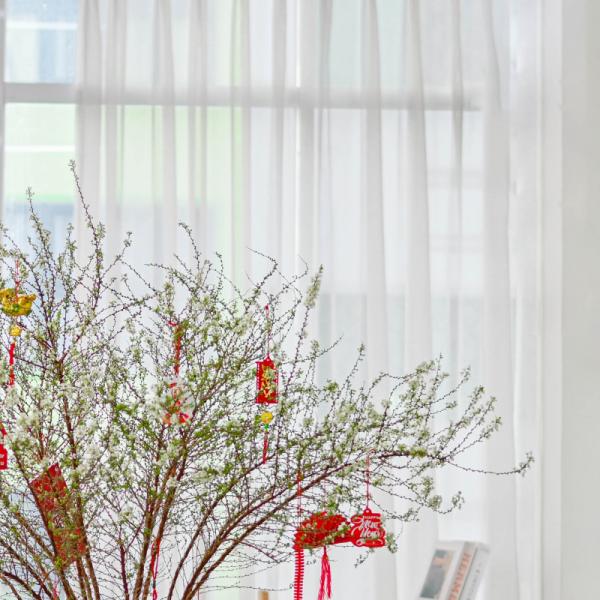 Tuyết Mai - Tết Vạn Lộc