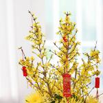 Mai Mỹ - Đầu Xuân Vạn Phúc