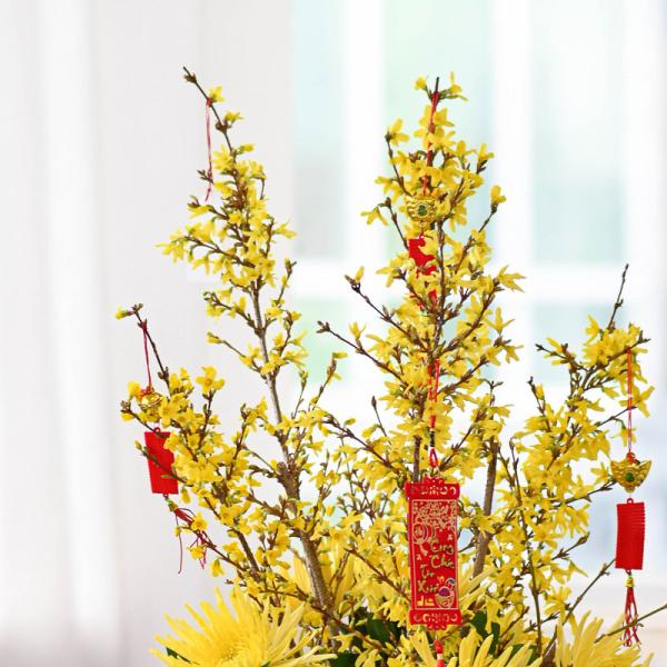 Mai Mỹ - Đầu Xuân Vạn Phúc