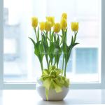 Chậu Hoa Thiết Kế Sắc Xuân 077