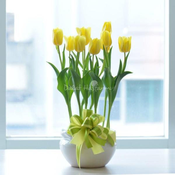 Chậu Hoa Thiết Kế Sắc Xuân 077