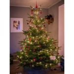 Cây Thông Noel Yêu Thương 2m4