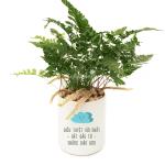 Chậu Trang Trí Tô Điểm Cuộc Sống 005