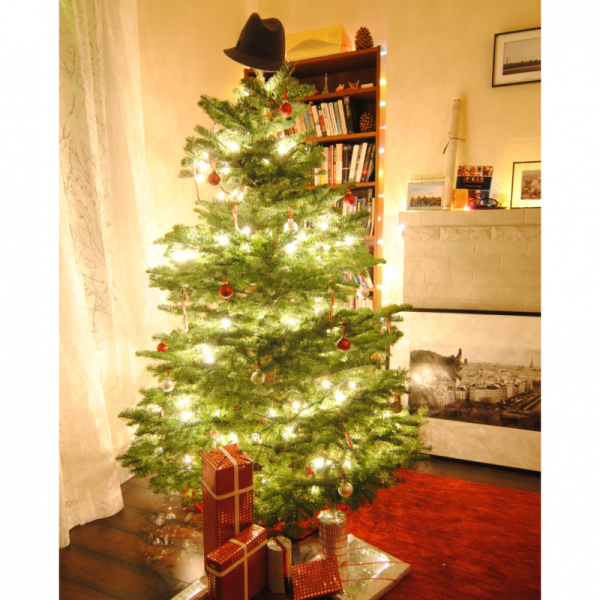 Cây Thông Noel Ấm Áp 2m1