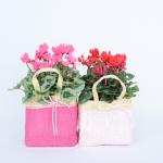 Giỏ Hoa Anh Thảo 004