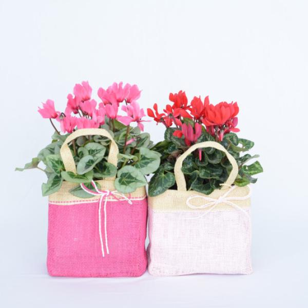 Giỏ Hoa Anh Thảo 004