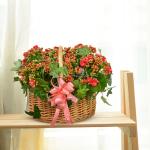 Giỏ Hoa Thiết Kế Trường Thọ 088