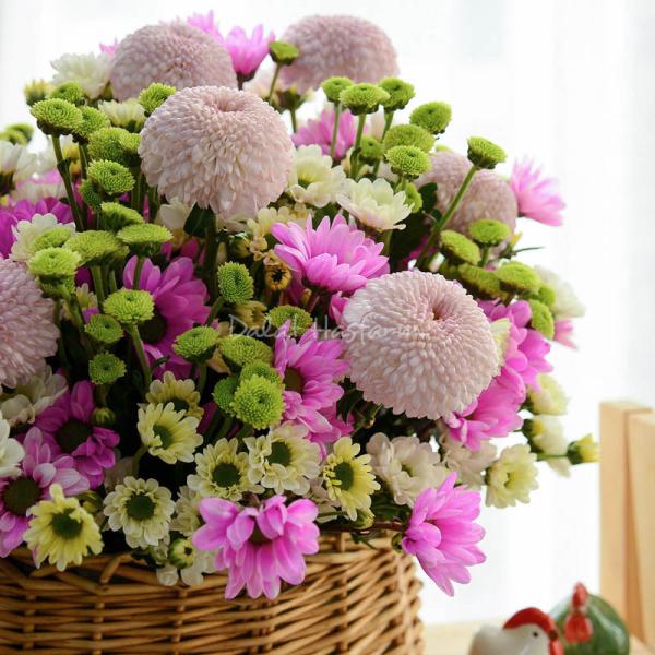 Giỏ Hoa Nắng Ấm Dịu Dàng 241